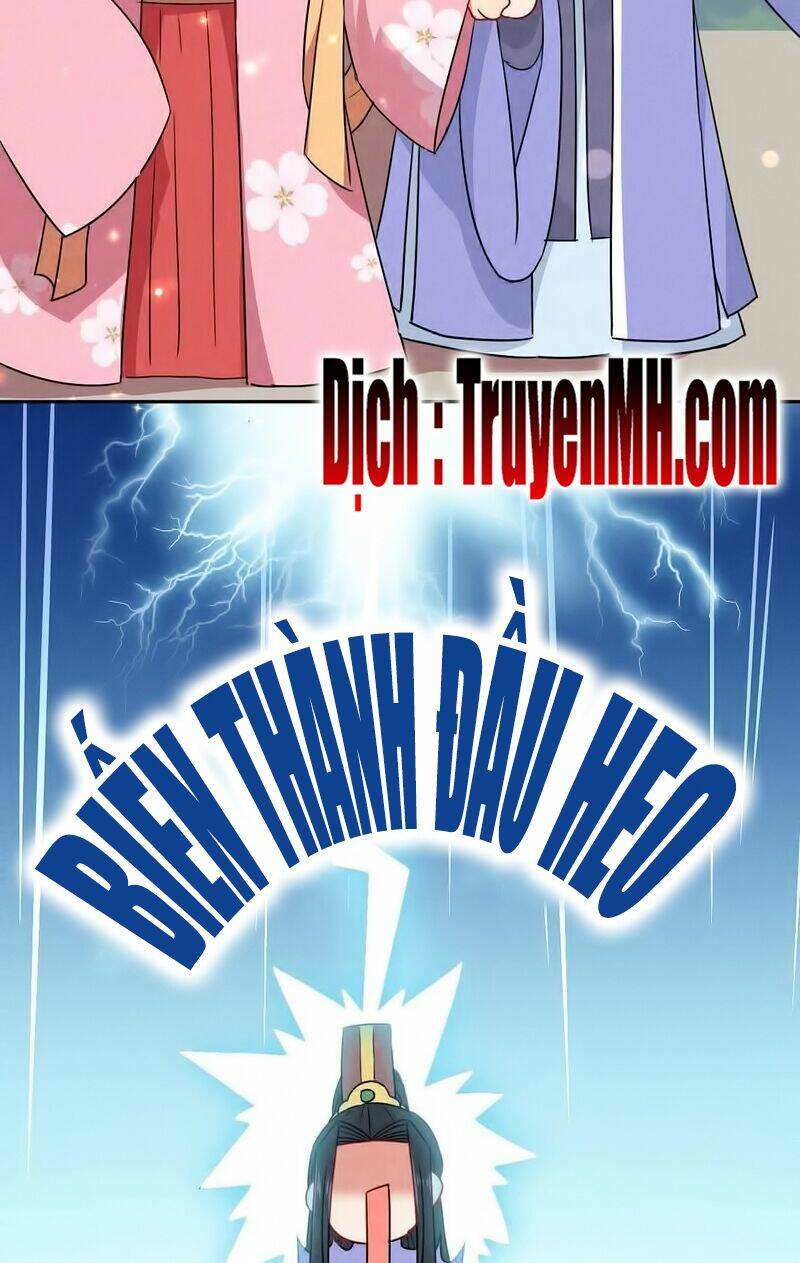 101 Mỹ Nam Của Vương Phi Béo Phì: Chapter 25