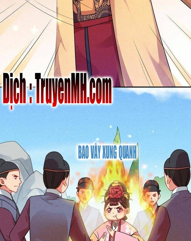 101 Mỹ Nam Của Vương Phi Béo Phì: Chapter 29