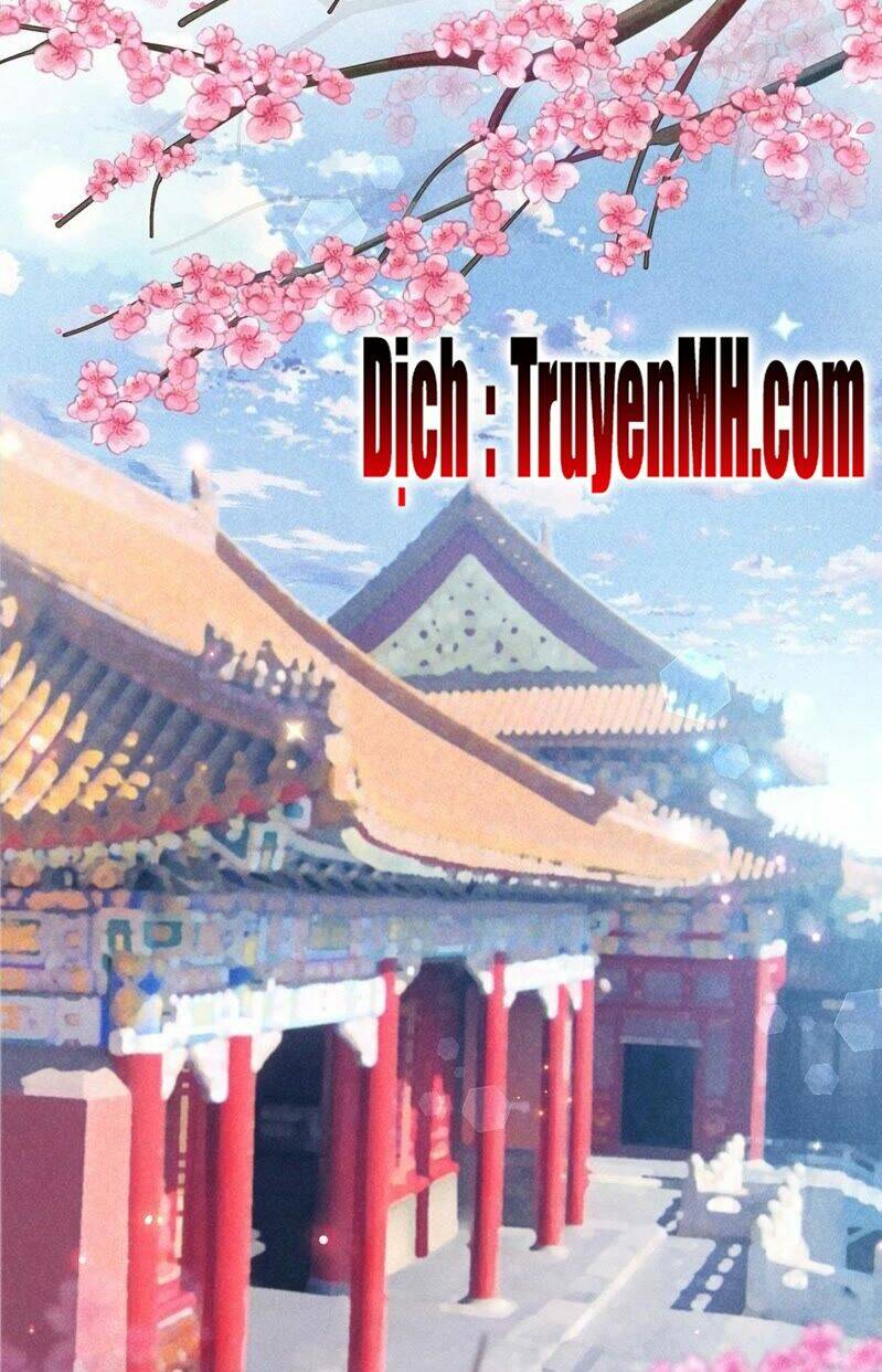 101 Mỹ Nam Của Vương Phi Béo Phì: Chapter 36