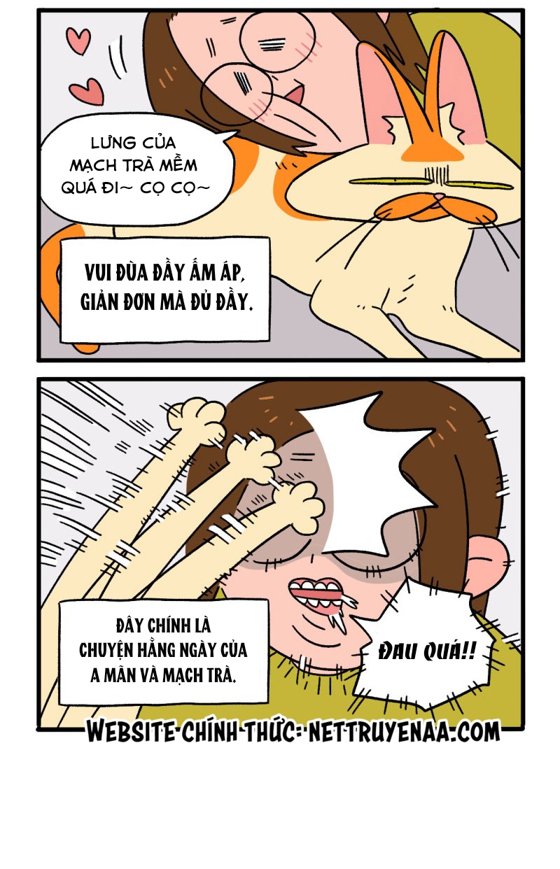 A Mãn Và Mạch Trà: Chapter 1