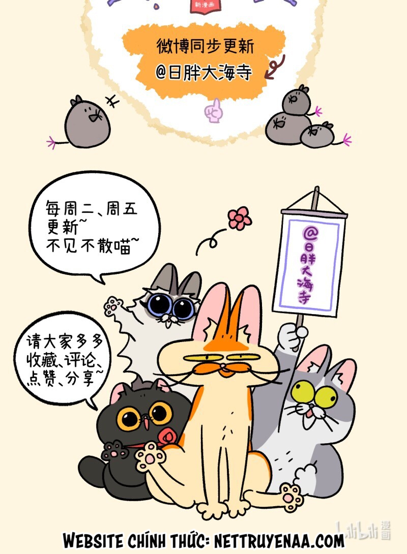 A Mãn Và Mạch Trà: Chapter 10