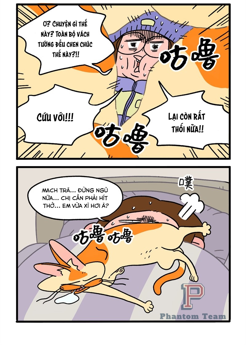 A Mãn Và Mạch Trà: Chapter 11.1