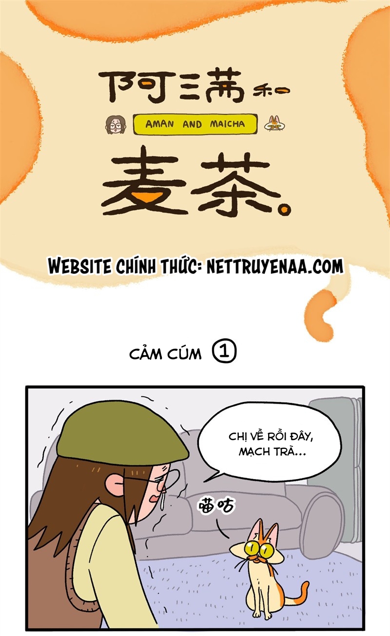A Mãn Và Mạch Trà: Chapter 11
