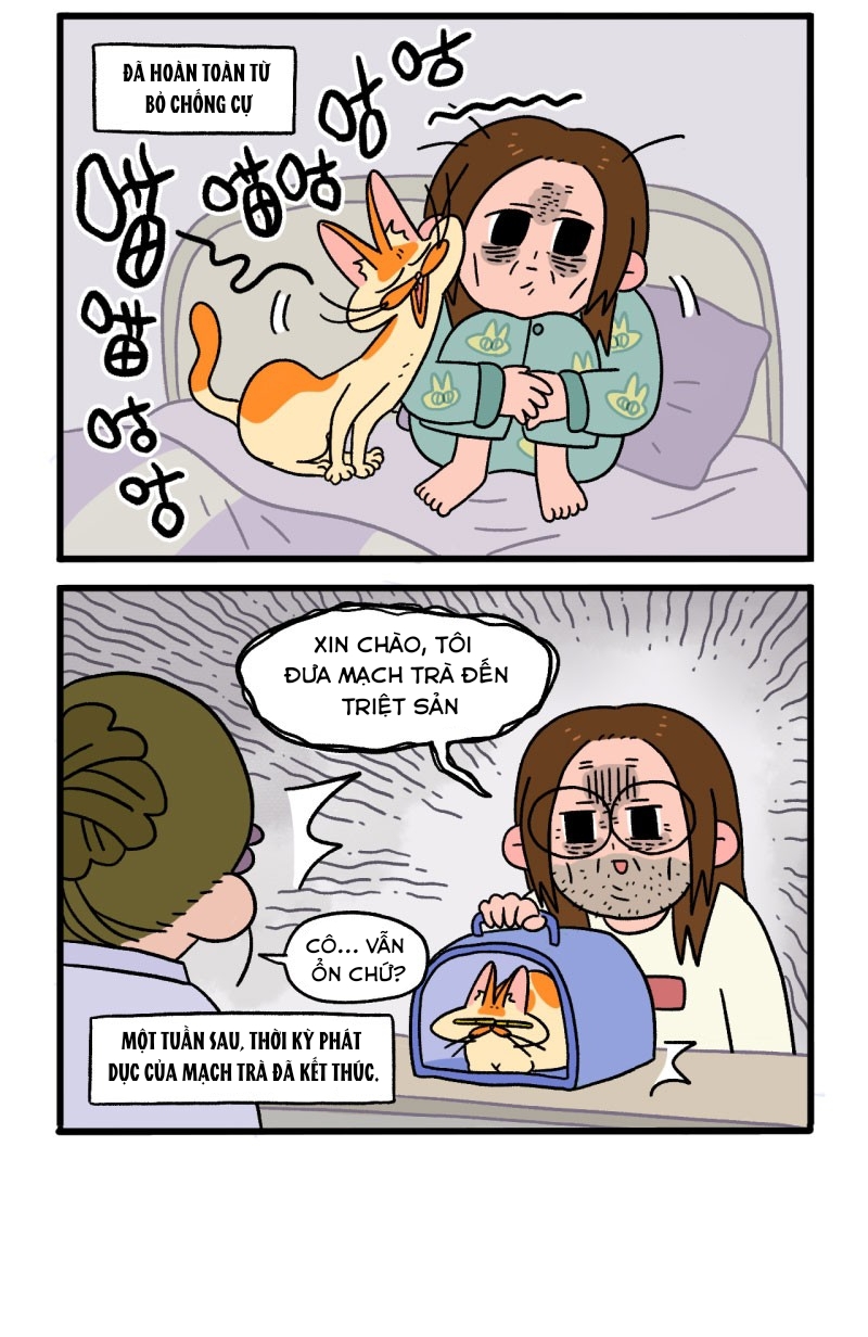 A Mãn Và Mạch Trà: Chapter 12.1