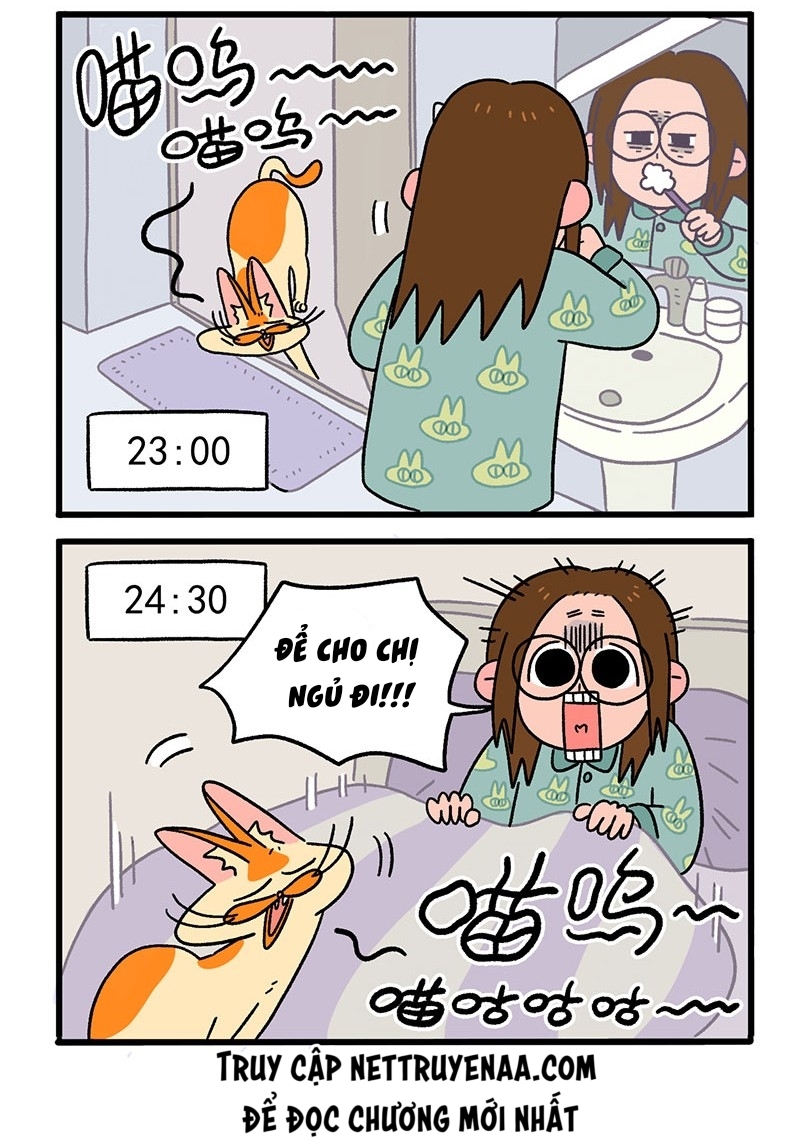 A Mãn Và Mạch Trà: Chapter 12