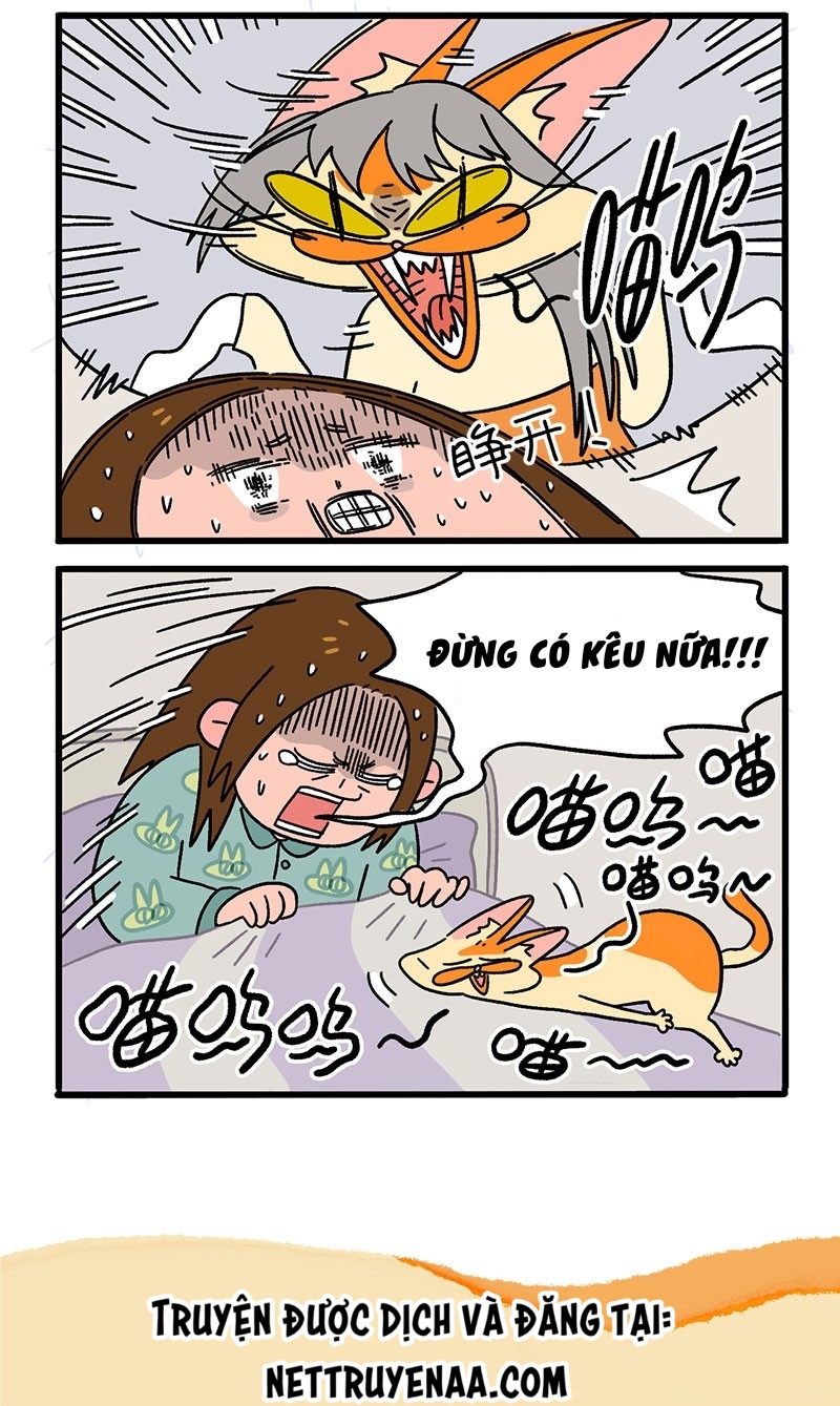 A Mãn Và Mạch Trà: Chapter 12
