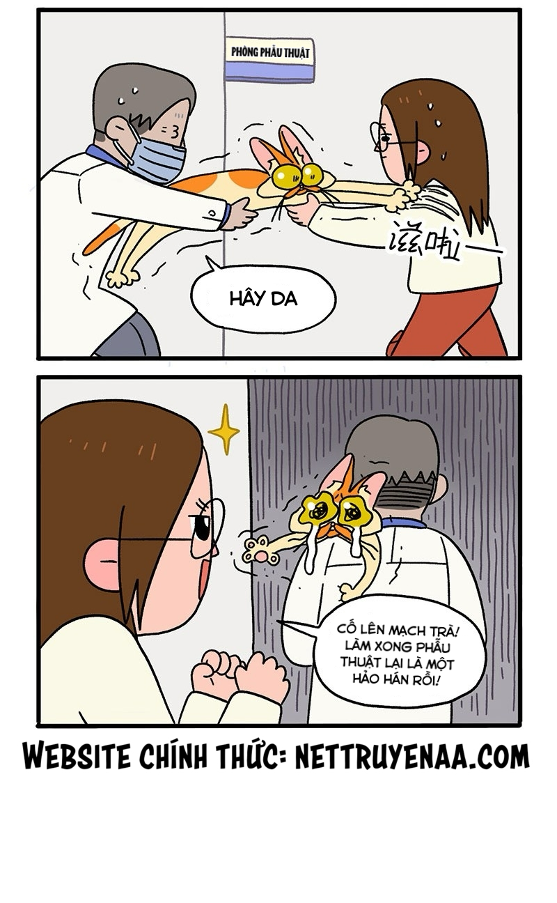 A Mãn Và Mạch Trà: Chapter 13.1