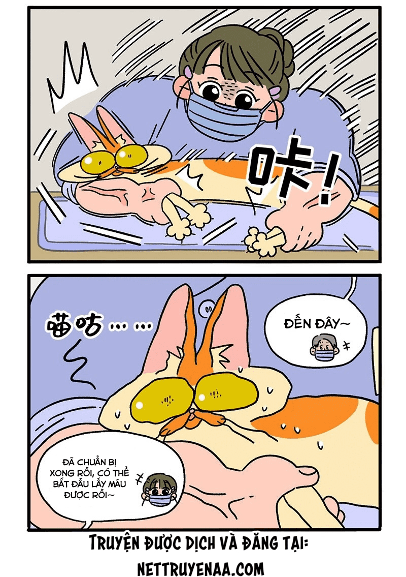 A Mãn Và Mạch Trà: Chapter 13