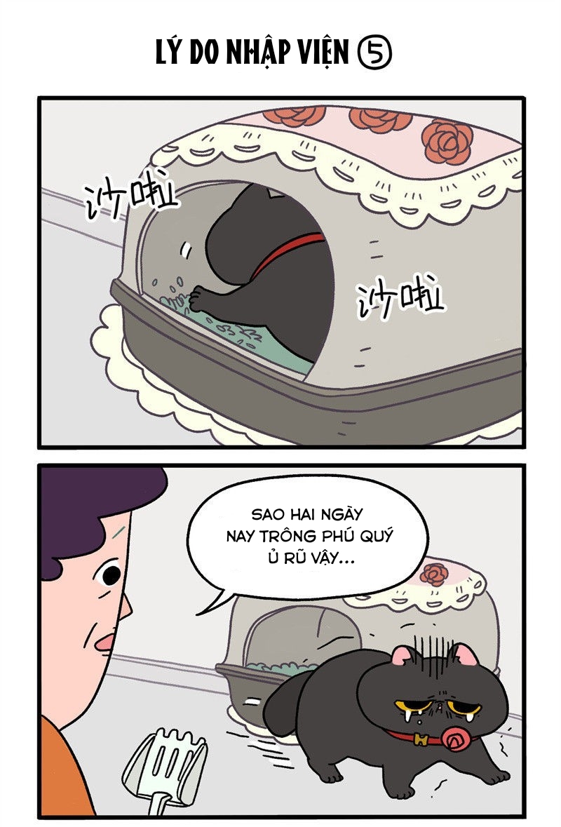 A Mãn Và Mạch Trà: Chapter 16.1