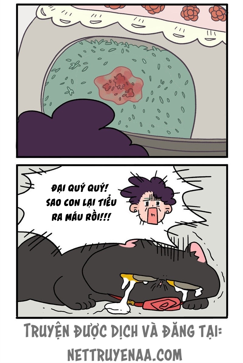 A Mãn Và Mạch Trà: Chapter 16.1
