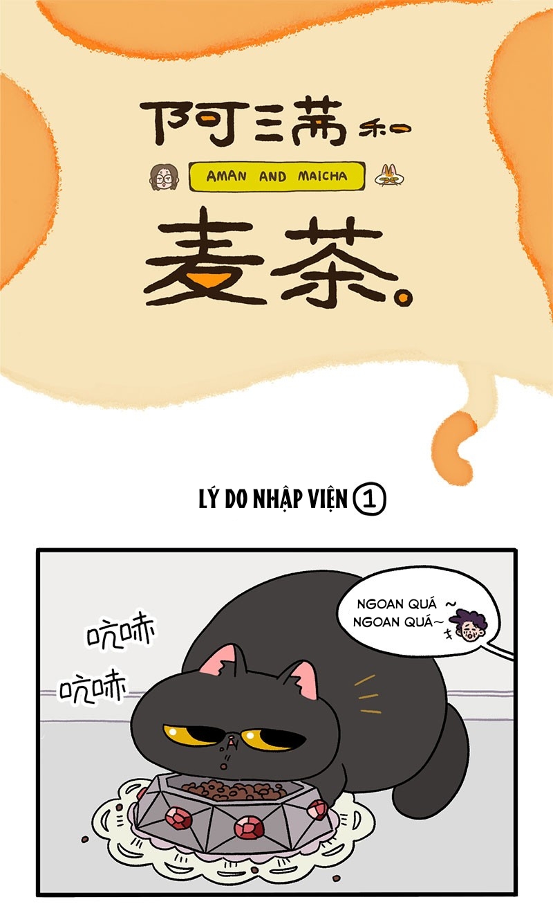 A Mãn Và Mạch Trà: Chapter 16