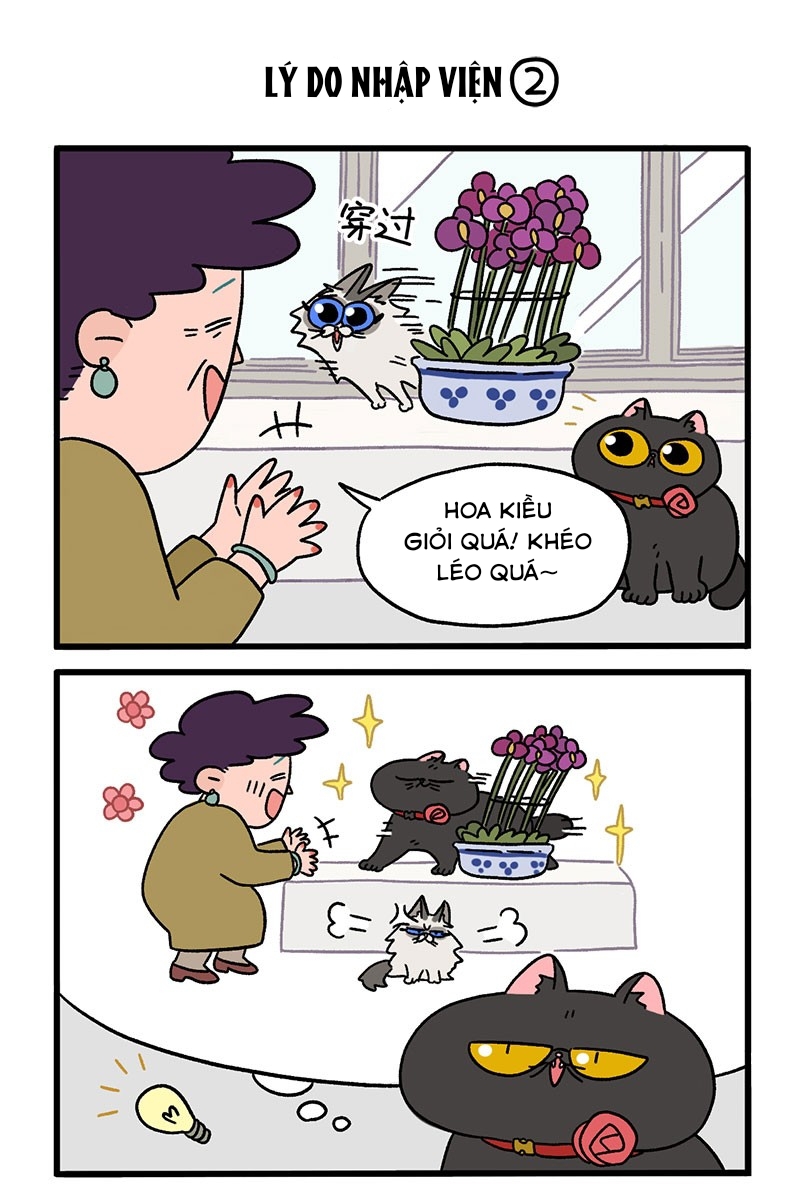 A Mãn Và Mạch Trà: Chapter 16