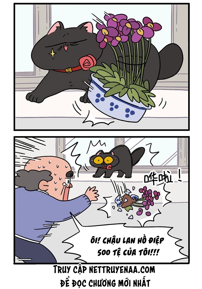 A Mãn Và Mạch Trà: Chapter 16