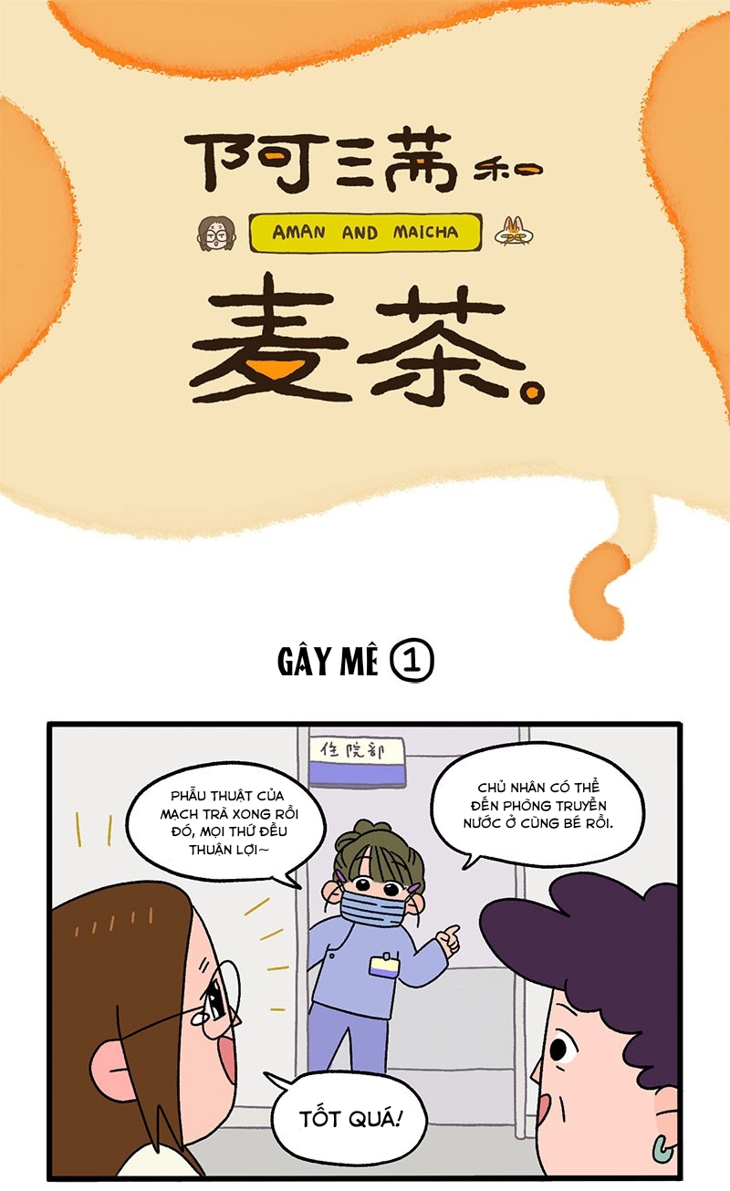 A Mãn Và Mạch Trà: Chapter 17