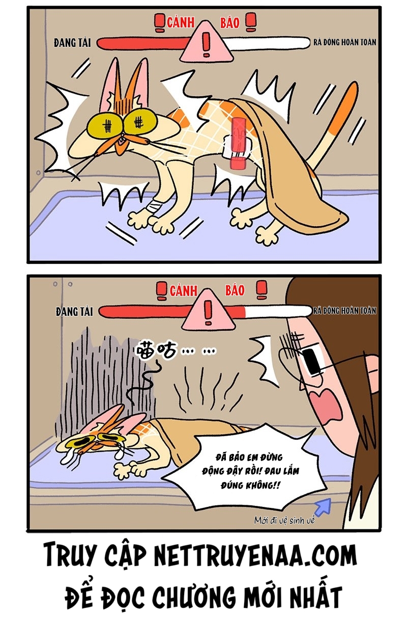 A Mãn Và Mạch Trà: Chapter 17