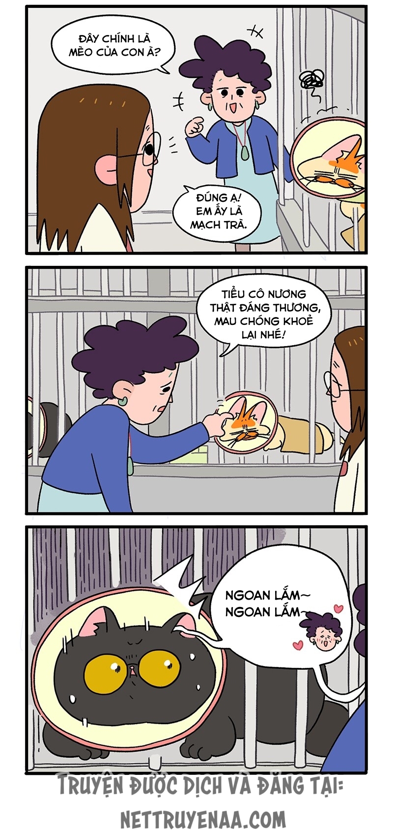 A Mãn Và Mạch Trà: Chapter 18.1