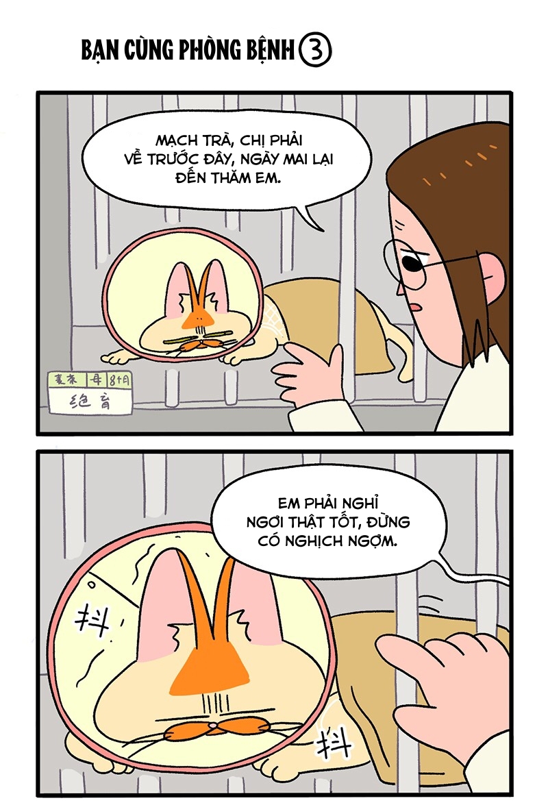 A Mãn Và Mạch Trà: Chapter 18.1