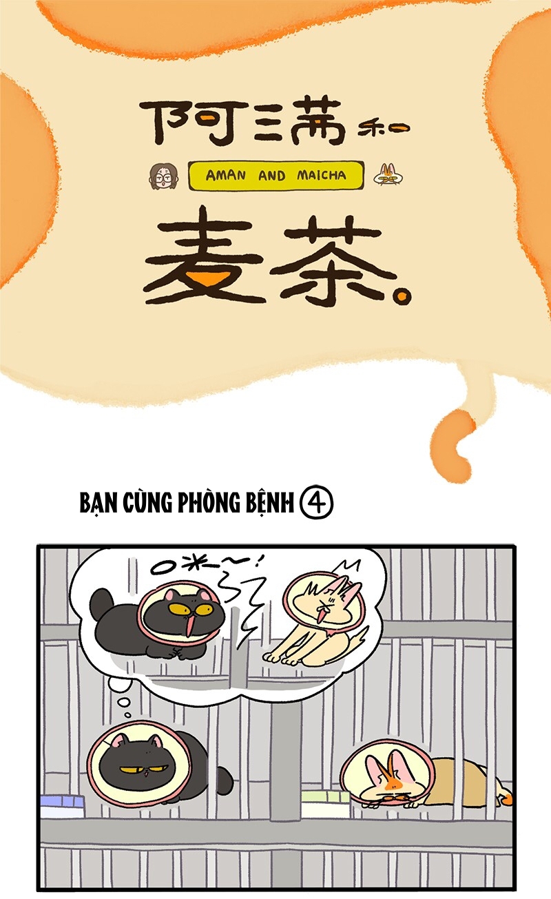 A Mãn Và Mạch Trà: Chapter 18.2