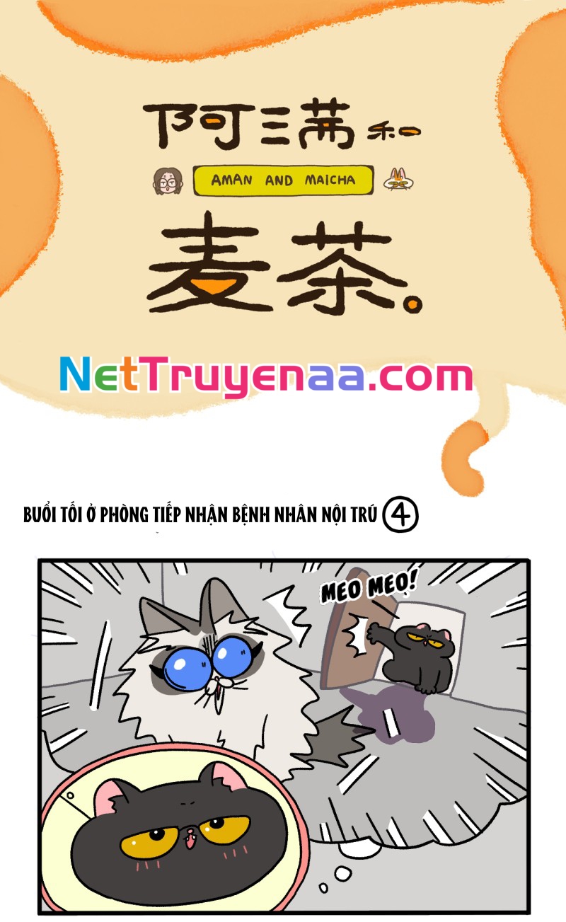 A Mãn Và Mạch Trà: Chapter 19.1