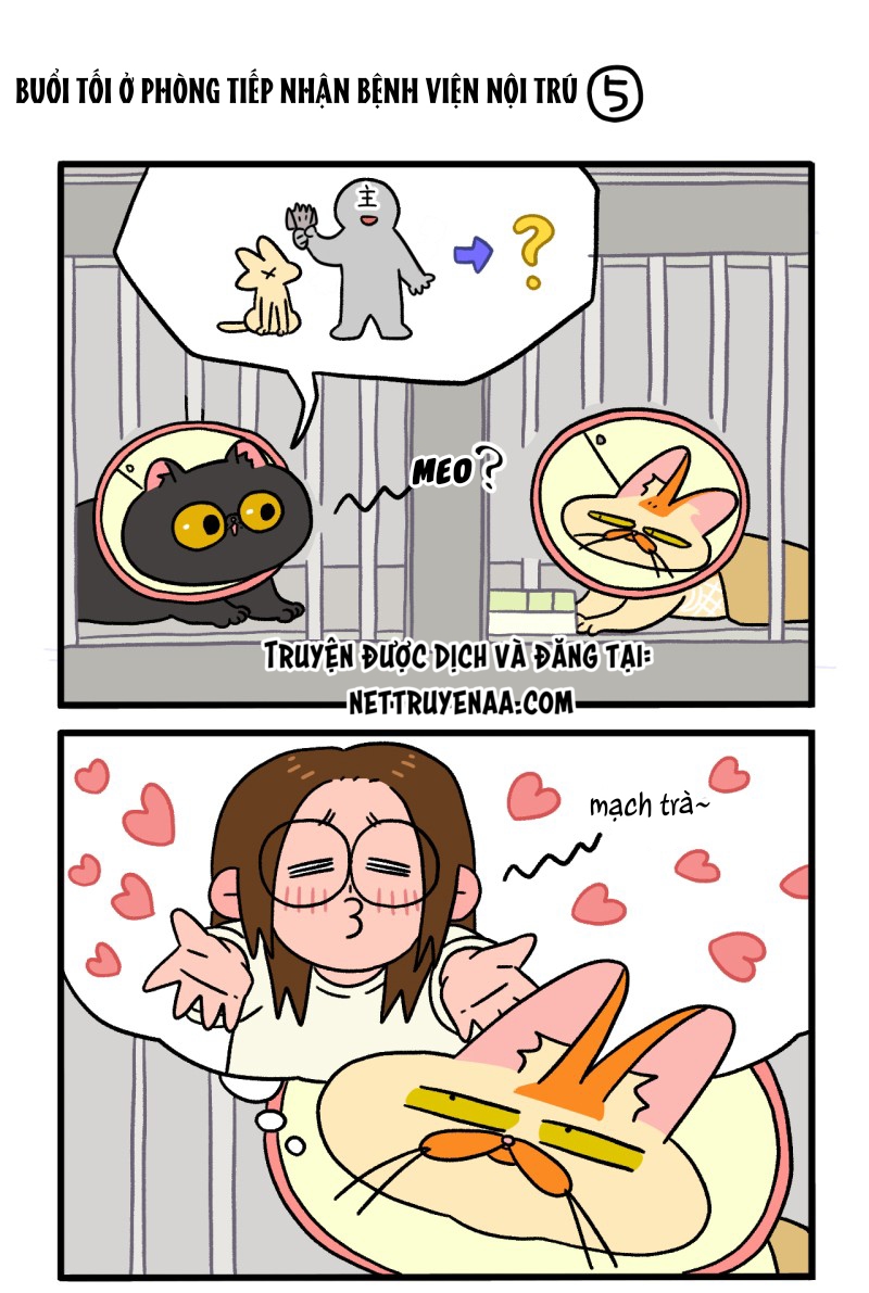A Mãn Và Mạch Trà: Chapter 19.1