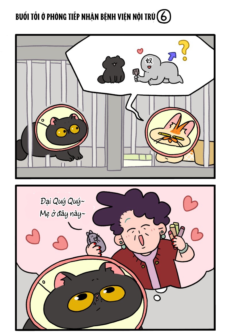A Mãn Và Mạch Trà: Chapter 19.1
