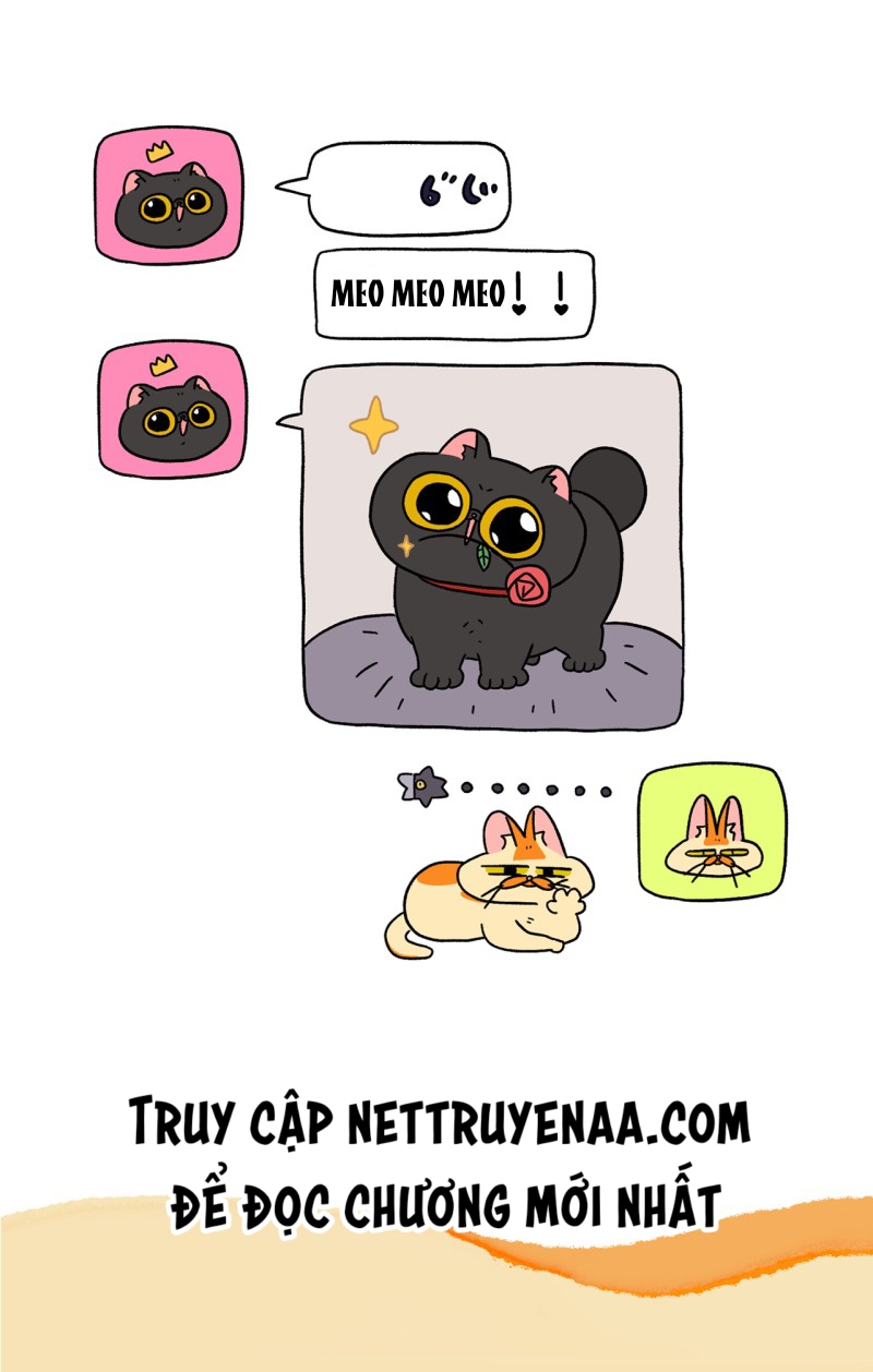 A Mãn Và Mạch Trà: Chapter 19.1