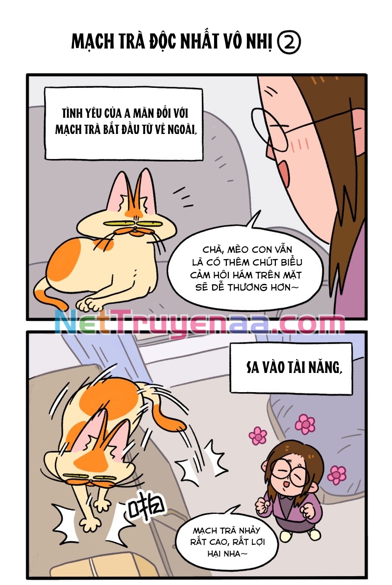 A Mãn Và Mạch Trà: Chapter 2