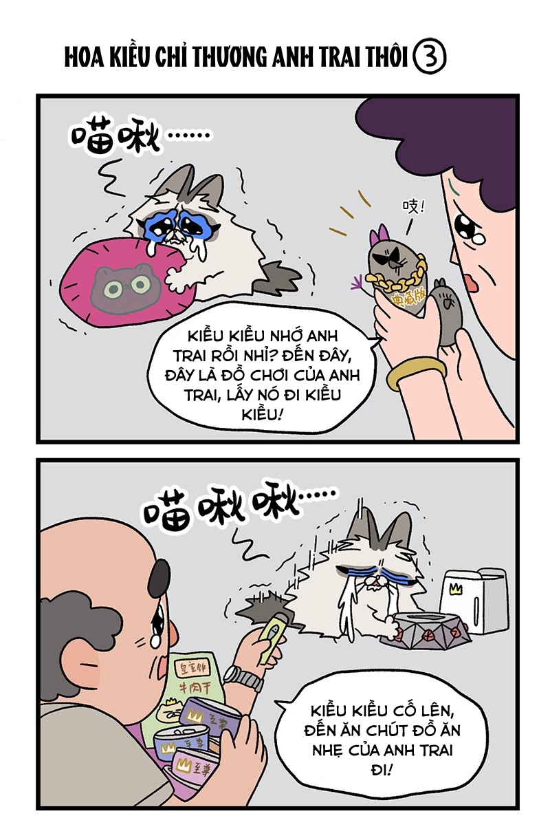 A Mãn Và Mạch Trà: Chapter 20