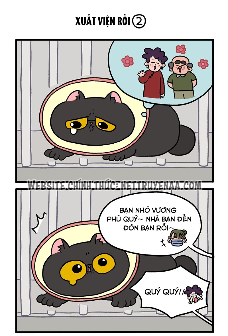 A Mãn Và Mạch Trà: Chapter 21
