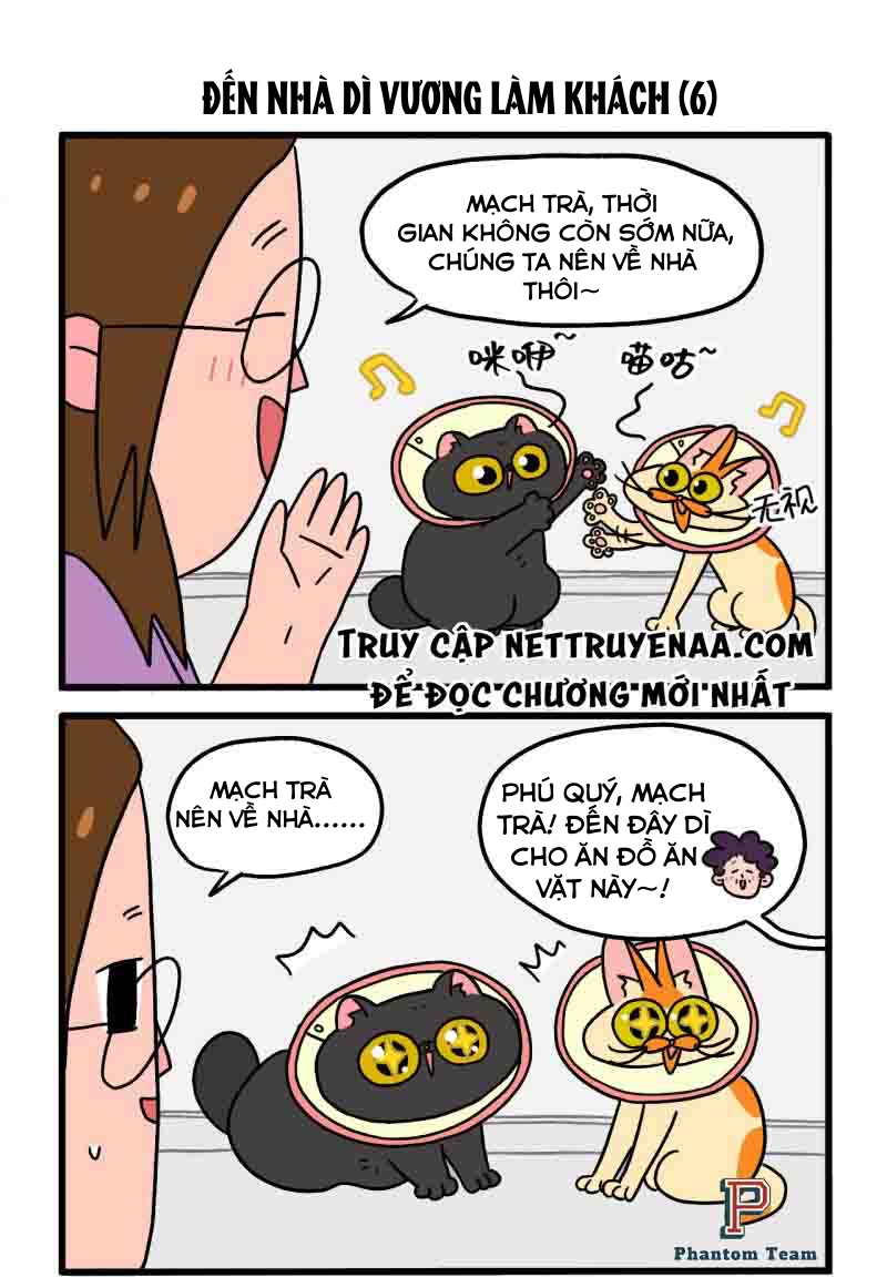 A Mãn Và Mạch Trà: Chapter 22.1