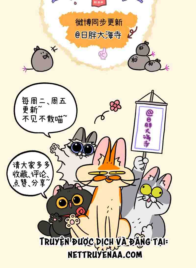 A Mãn Và Mạch Trà: Chapter 22