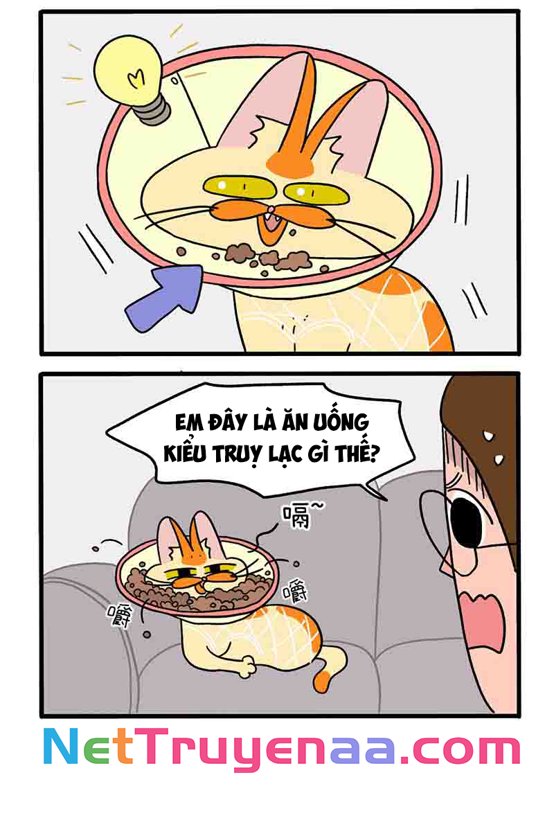 A Mãn Và Mạch Trà: Chapter 23.1