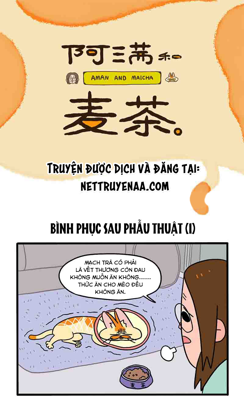 A Mãn Và Mạch Trà: Chapter 23