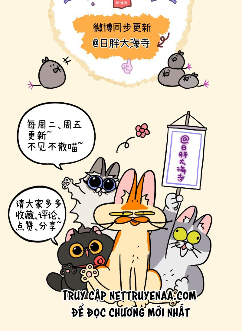 A Mãn Và Mạch Trà: Chapter 25