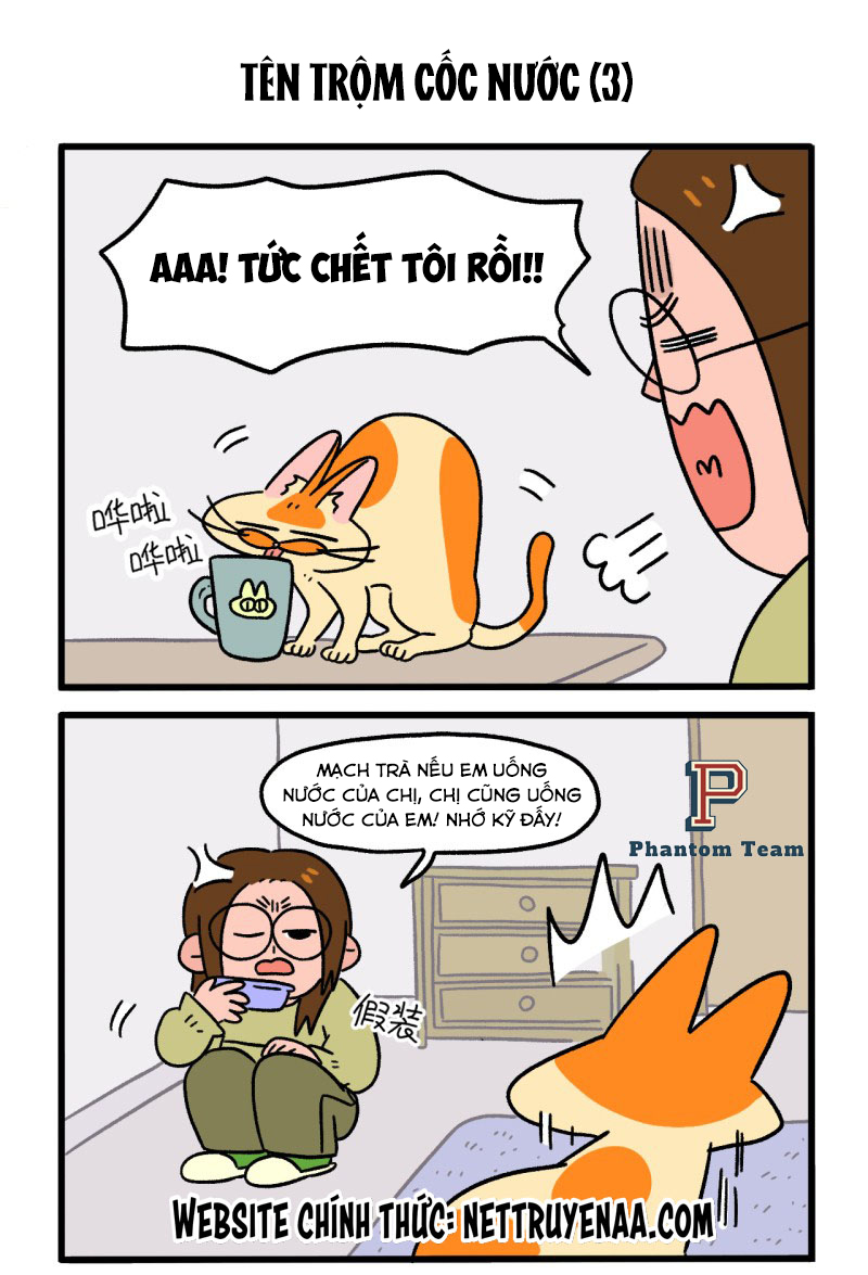 A Mãn Và Mạch Trà: Chapter 26