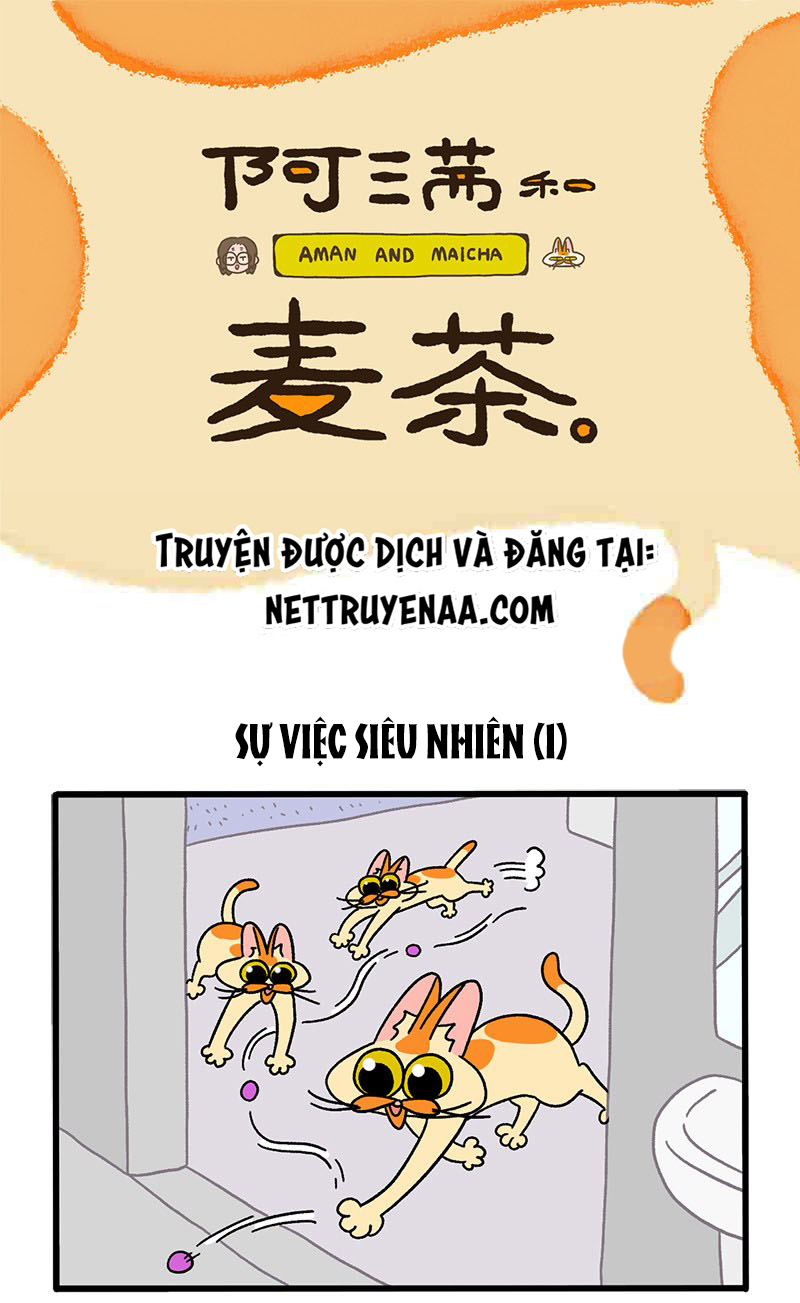 A Mãn Và Mạch Trà: Chapter 27