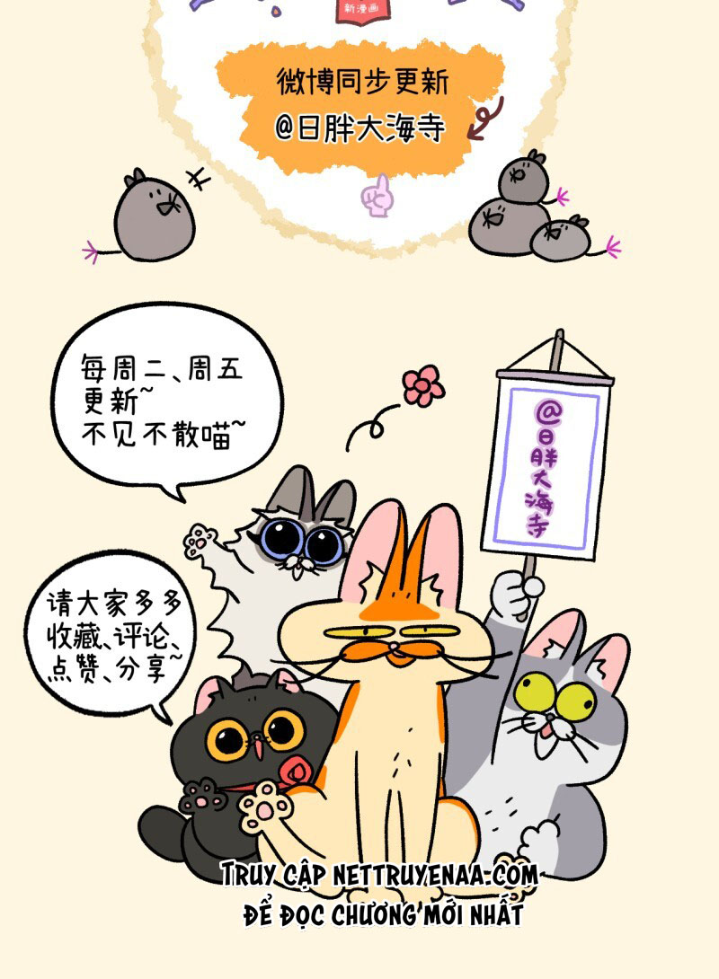 A Mãn Và Mạch Trà: Chapter 29