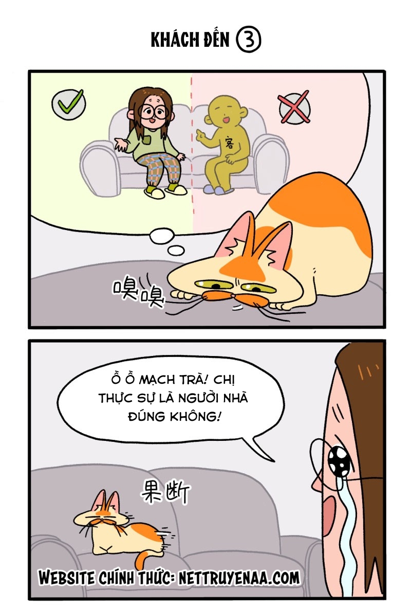 A Mãn Và Mạch Trà: Chapter 3