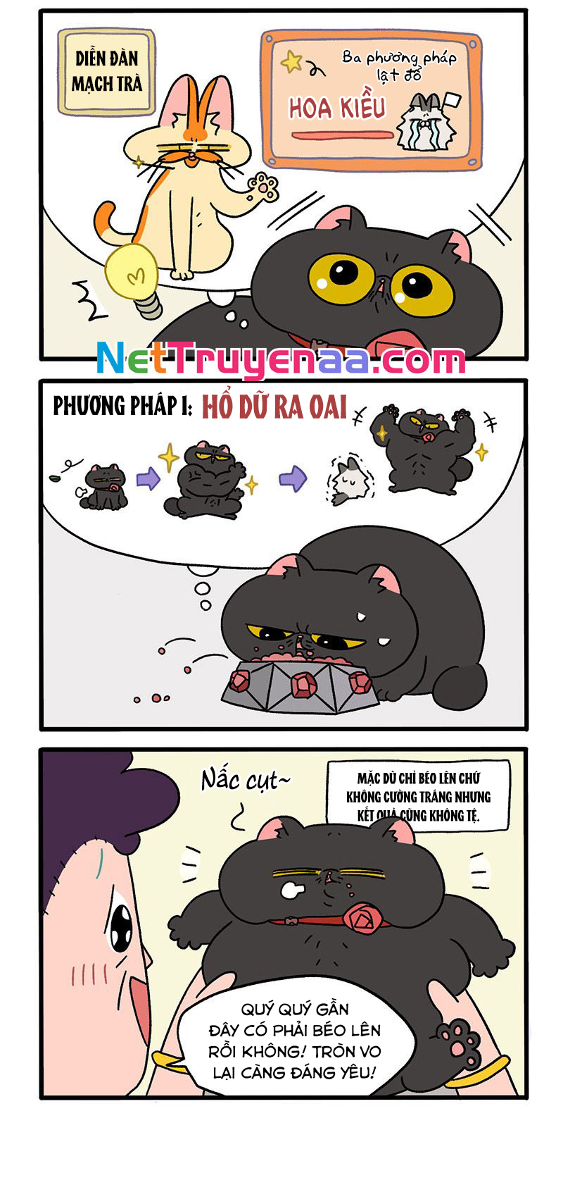 A Mãn Và Mạch Trà: Chapter 31.1