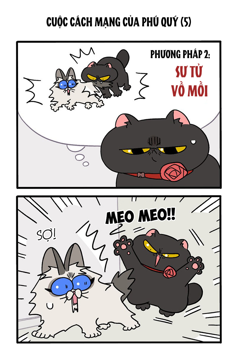 A Mãn Và Mạch Trà: Chapter 31.1