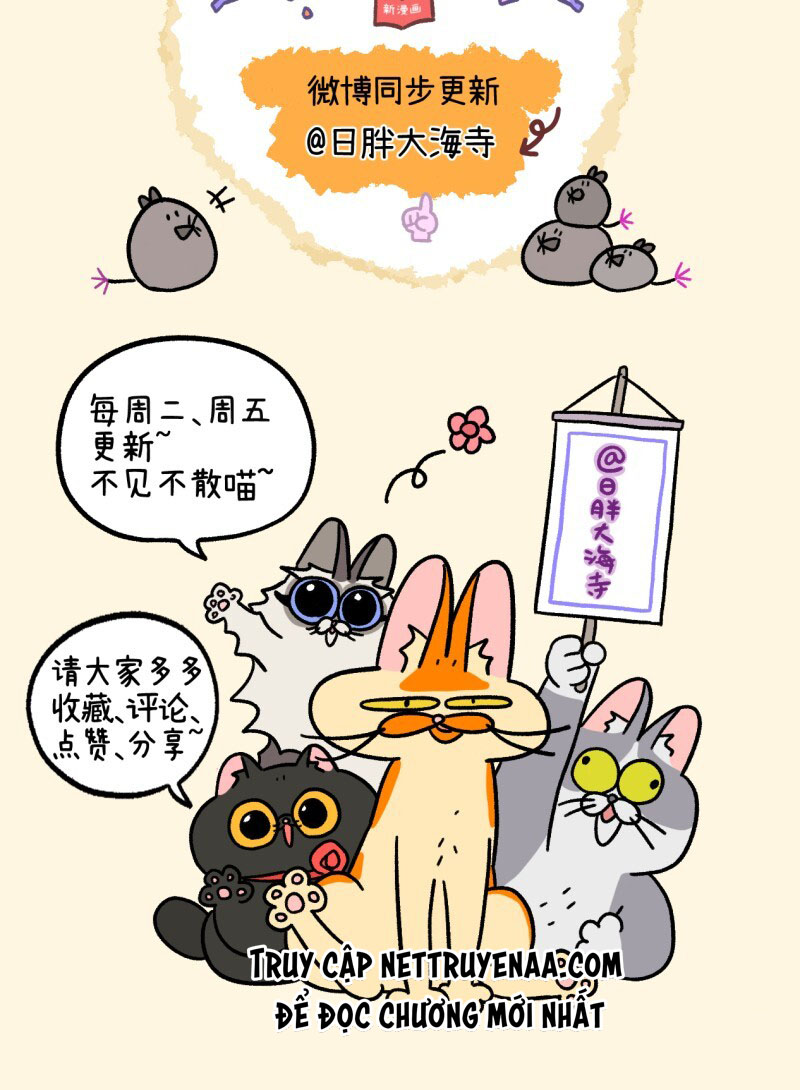 A Mãn Và Mạch Trà: Chapter 31.1