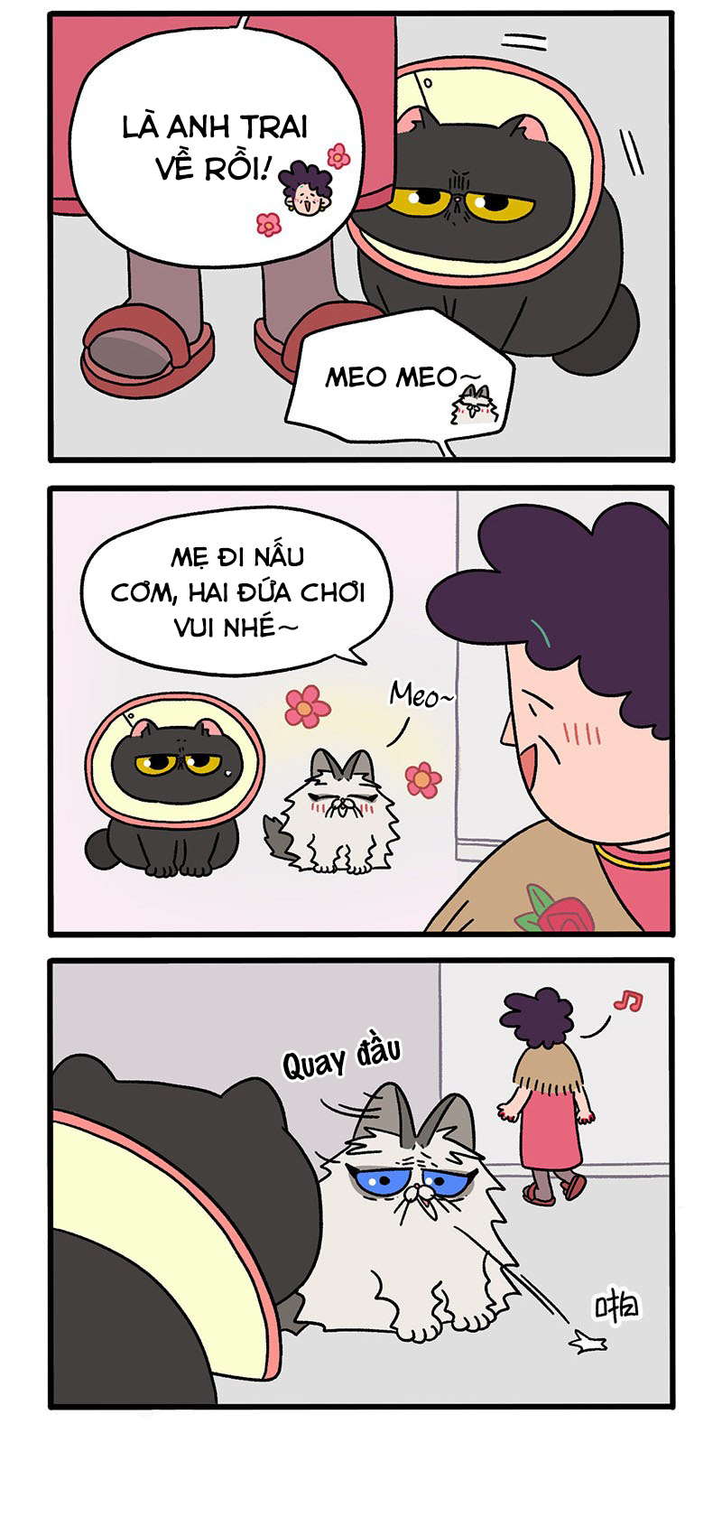 A Mãn Và Mạch Trà: Chapter 31