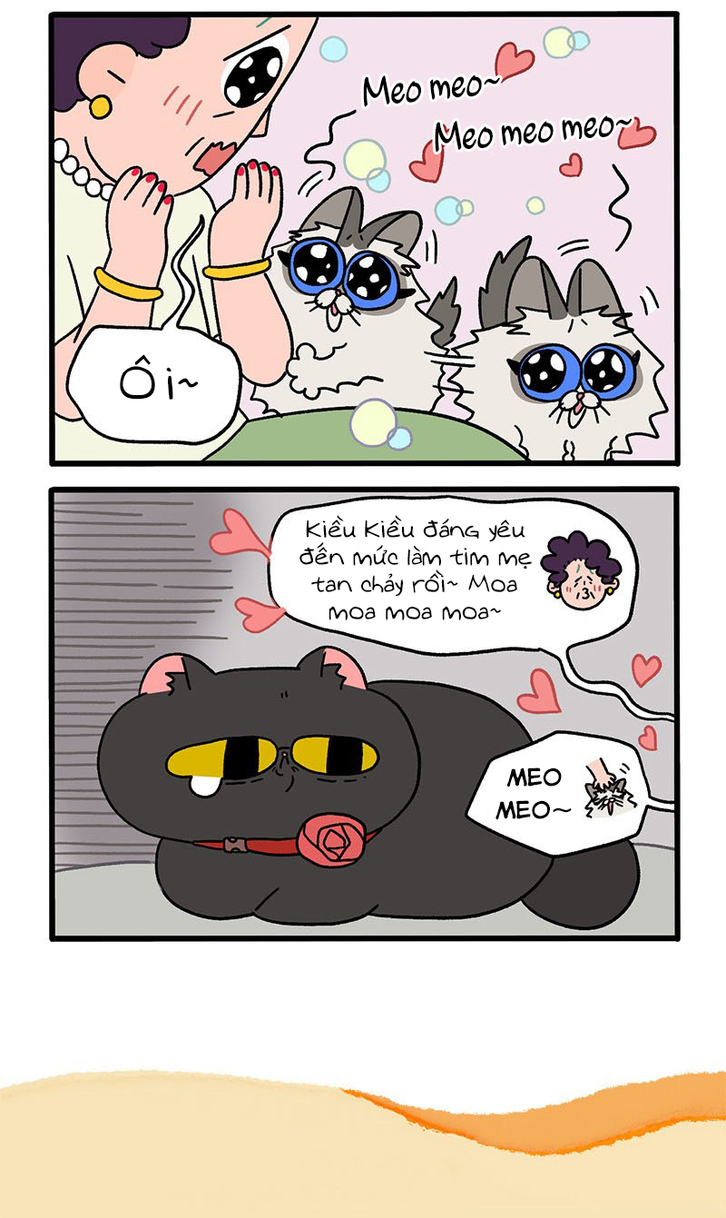 A Mãn Và Mạch Trà: Chapter 31
