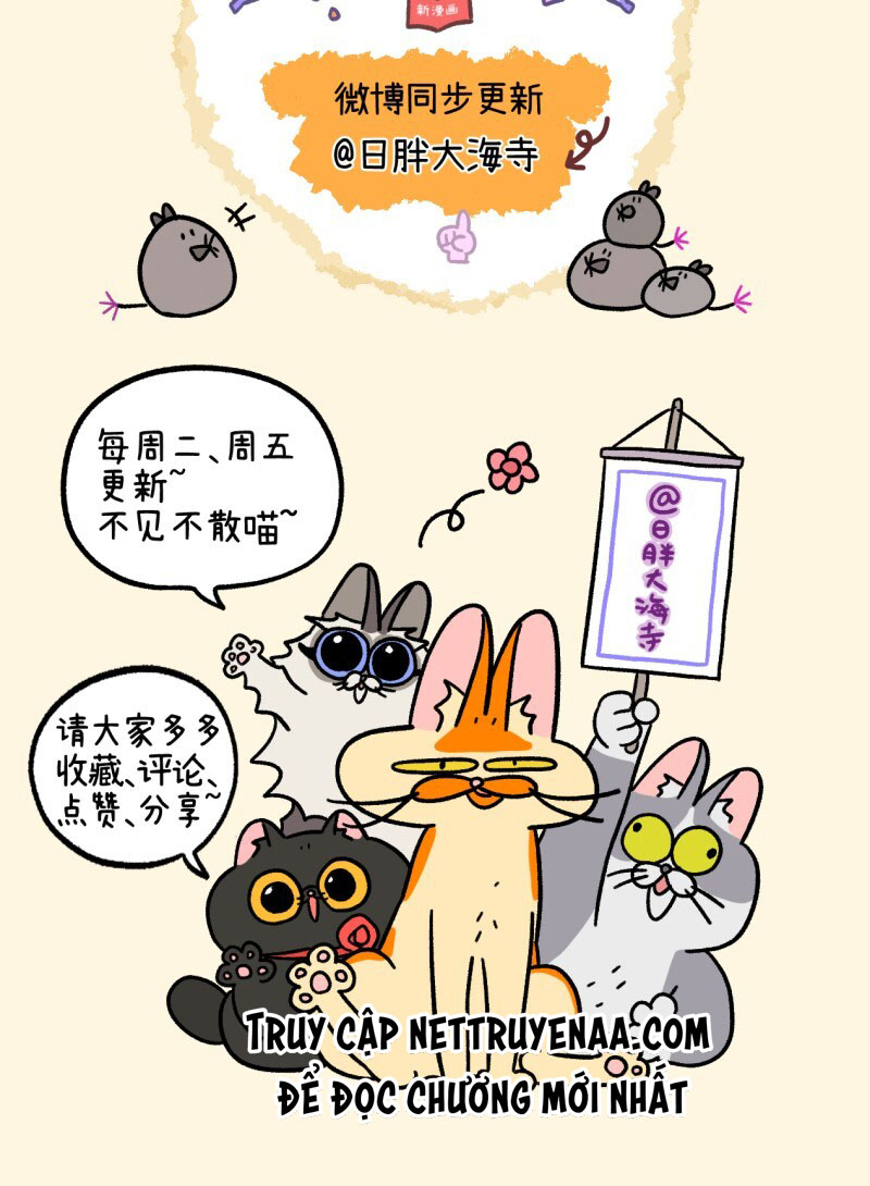 A Mãn Và Mạch Trà: Chapter 33.2