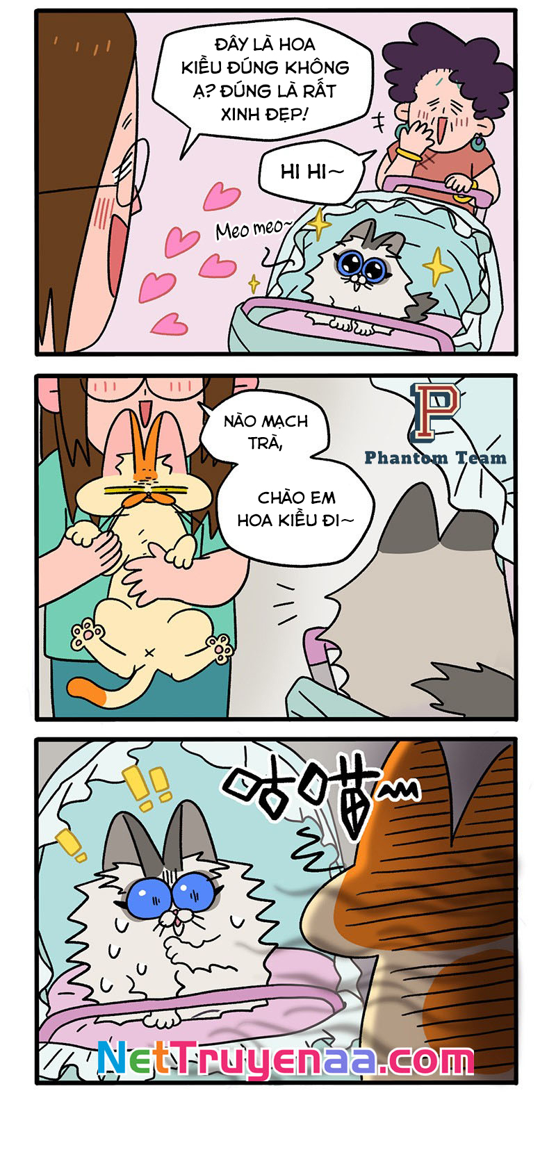 A Mãn Và Mạch Trà: Chapter 33