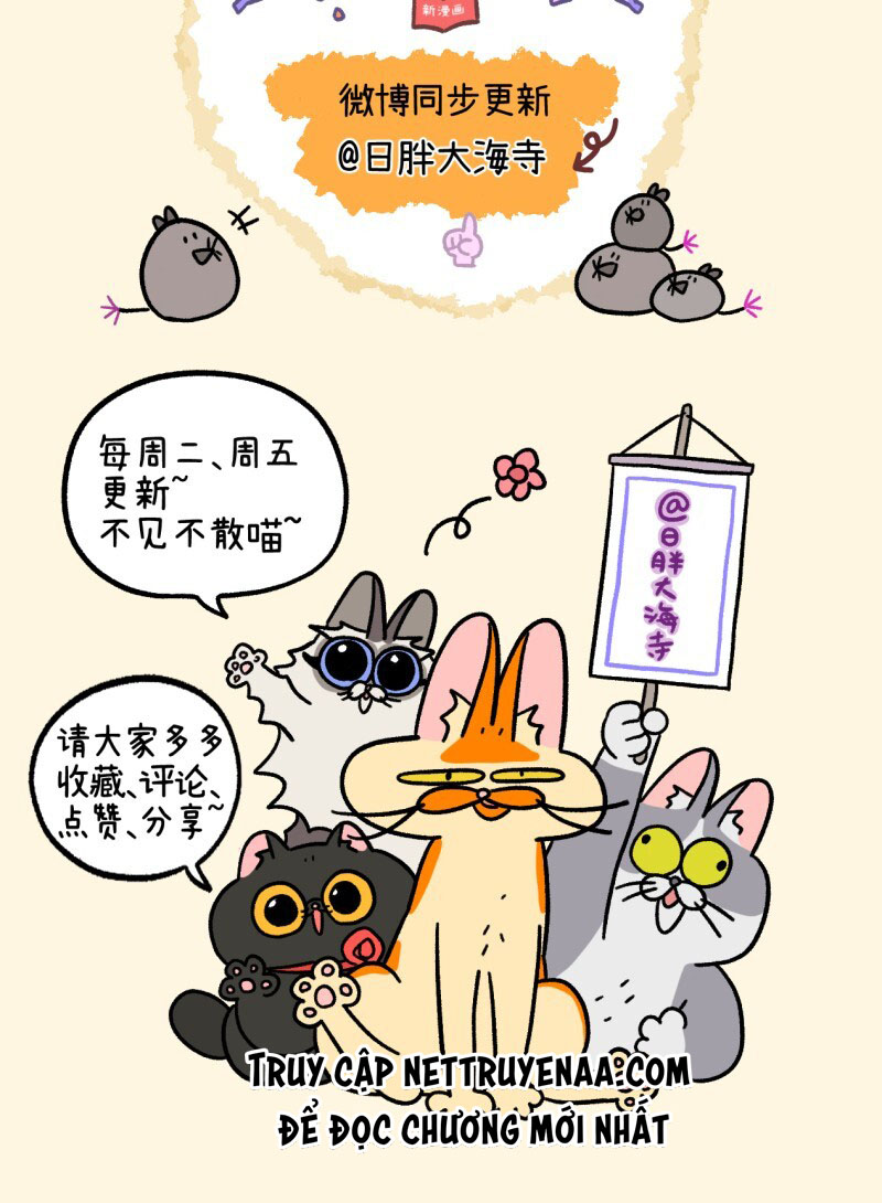 A Mãn Và Mạch Trà: Chapter 33