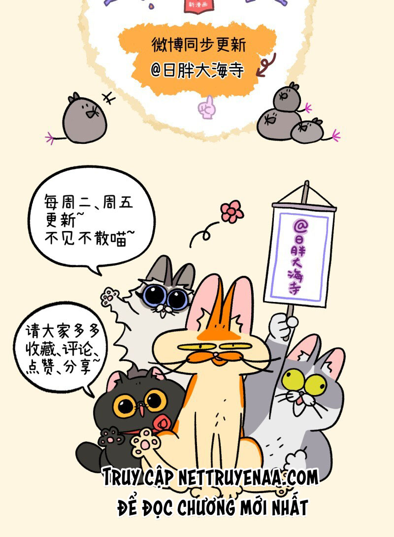 A Mãn Và Mạch Trà: Chapter 34.1