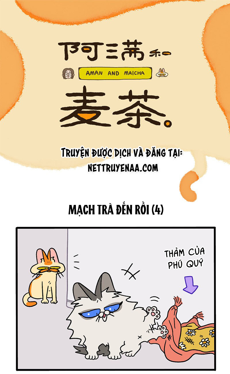 A Mãn Và Mạch Trà: Chapter 35.1