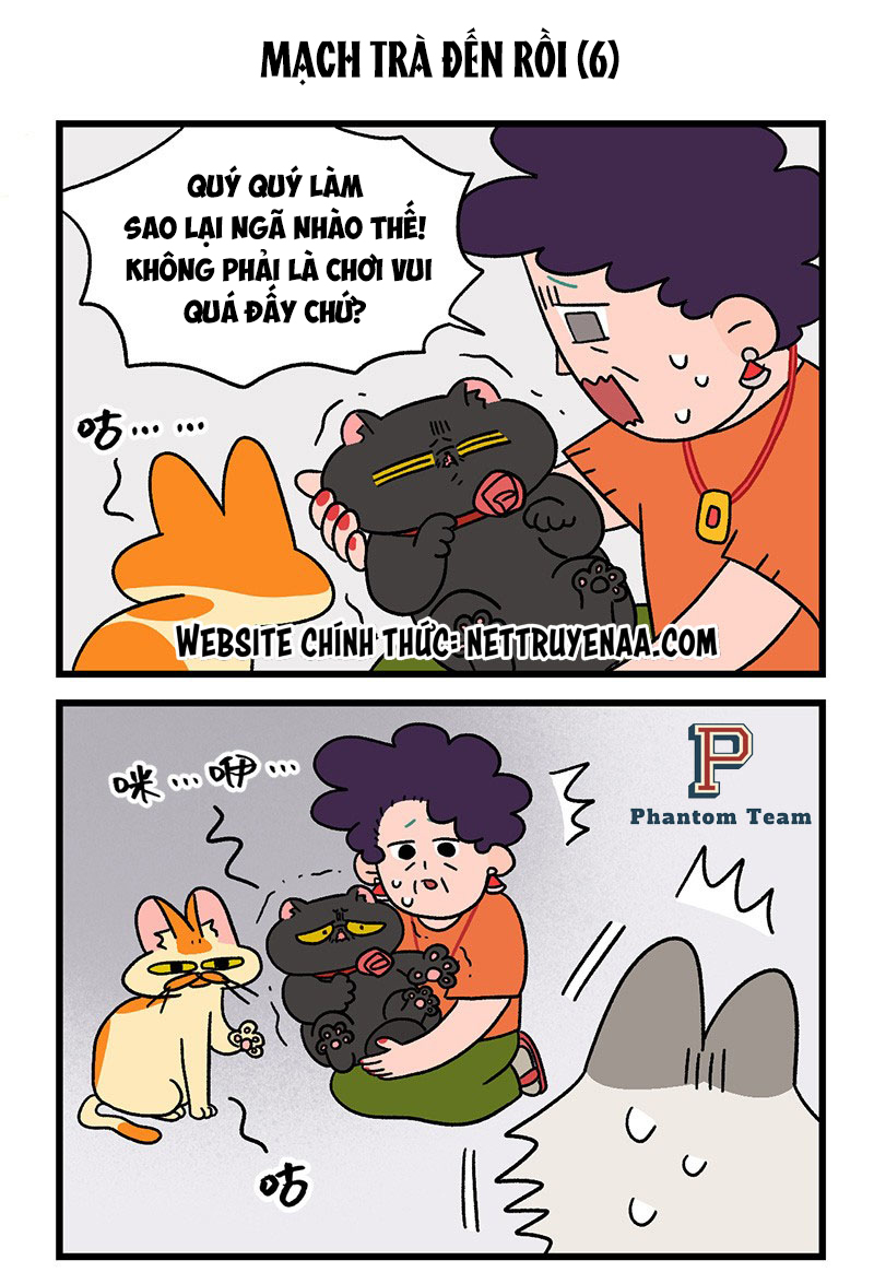 A Mãn Và Mạch Trà: Chapter 35.1