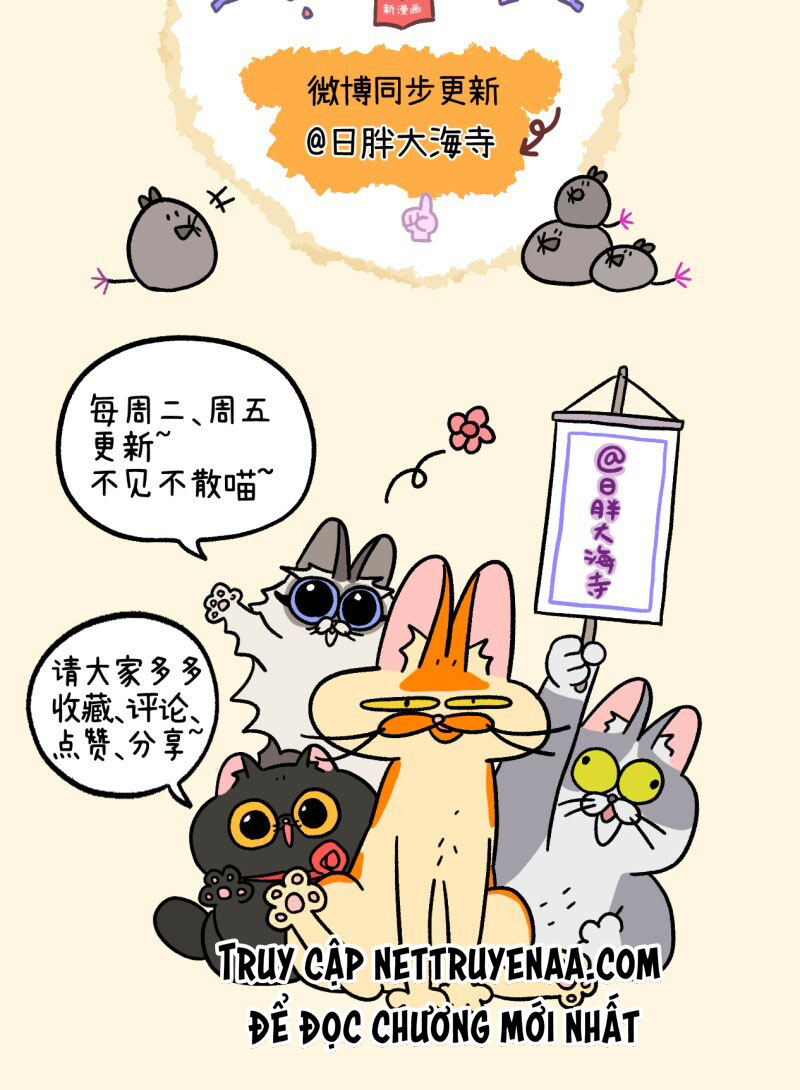 A Mãn Và Mạch Trà: Chapter 35.1